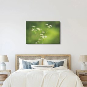 Egy százszorszép képe (90x60 cm)