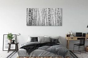 Üvegképek Fekete-fehér nyír 100x50 cm