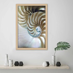 Gario Poszter Egy kagyló belseje A keret színe: Fekete, Méret: 70 x 100 cm