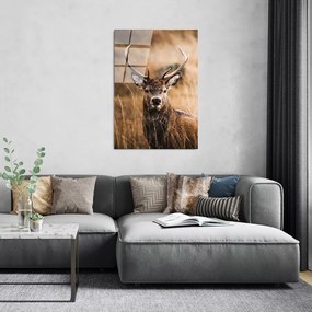 Üveg kép 70x100 cm Deer – Wallity