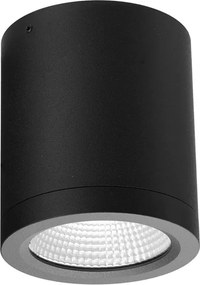 AZZARDO 6027 CONYON Hengeres Mennyezeti Lámpa LED IP54