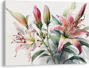 Kép - Liliomok, illusztrációk (70x50 cm)