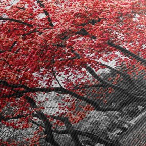 Kép - vörös fák, Central Park, New York (90x60 cm)