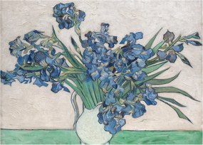 Üveg kép - Vincent van Gogh, Irises, reprodukciók (70x50 cm)