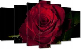 Vászonkép 140x80 Vörös rózsa