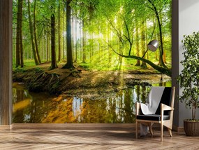 Gario Fotótapéta Patak az erdőben napfelkeltekor Anyag: Vlies, Méret: 400 x 280 cm