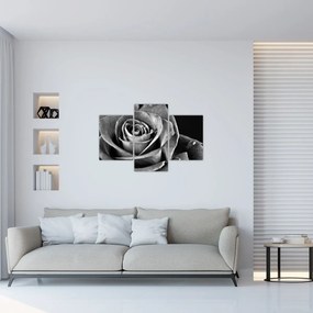 Kép - Rózsa, fekete-fehér (90x60 cm)