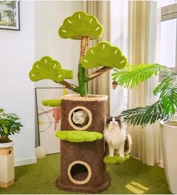 947495 Macska kaparófa, zöld, fa, természet