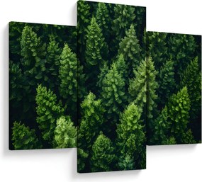 Kép - Forest (90x60 cm)