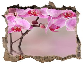 3d-s lyuk vizuális effektusok matrica Rózsaszín orchidea nd-k-79883275