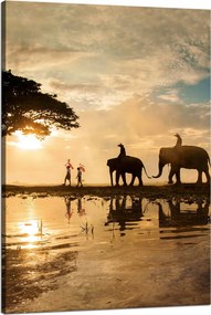 Vászonkép Emberek az elefántokon Naplemente Afrika Szavanna 80x120 cm