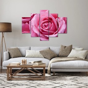 Rózsa képe (150x105 cm)