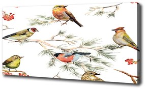 Vászonkép Erdei madarak növények oc-80184720