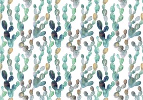 Fotótapéta Kaktuszok fehér alapon vinil 254x184 +ragasztó