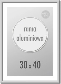 Képkeret 30X40 képkeret 40x30 alumínium ezüst