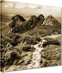 Vászonkép 40x40 Tátra Lengyel hegyek Kilátás