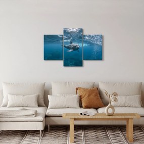 Kép - Delfin a felszín alatt (90x60 cm)