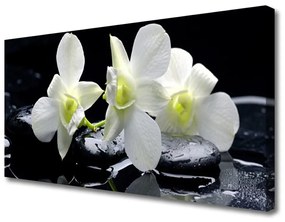 Vászonfotó Rózsaszín orchidea virág 100x50 cm