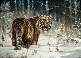 Kép - tigris a havas erdőben, olajfestmény (70x50 cm)