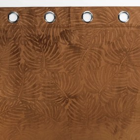 Barna bársony függöny 140x240 cm Analia – douceur d'intérieur