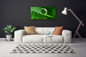Vászonkép Plant Leaf Water Drops 100x50 cm