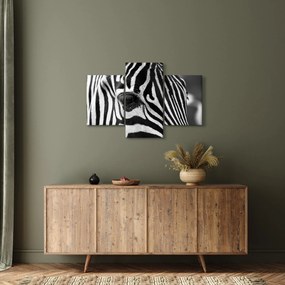 Zebra képe (90x60 cm)