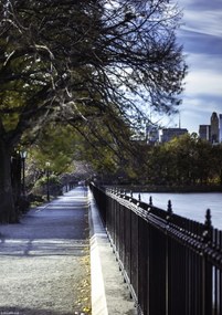 Poszter 21x29,7cm New York sétány, Assaf Frank