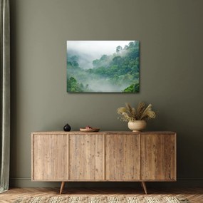 Kép - Reggeli köd (70x50 cm)