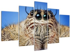 A pók részletének képe (150x105 cm)