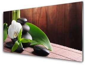 Üvegkép Orchidea virág Spa 100x50 cm 2 fogas