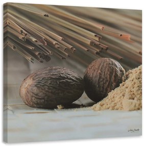 Gario Vászonkép Két barna mag Méret: 30 x 30 cm