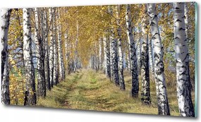 Fotó kép edzett üveg Köd az erdőben 100x70