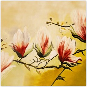 Poszterek 100x100 Magnólia