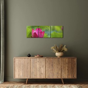 Kép - vízi növény (órával) (90x30 cm)