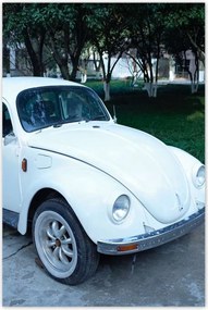 Poszterek 80x120 Bogár Volkswagen Vw Auto