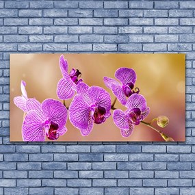 Vászonfotó Rügyek orchidea virágok Természet 100x50 cm