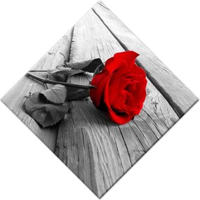 Vászonkép 56x56 Vörös rózsa a hídon