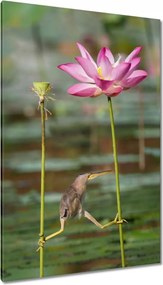 Vászonkép 80x120 Kalapos madár Tájkép Kilátás