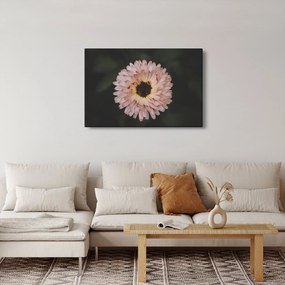 Narancsságra virág képe (90x60 cm)