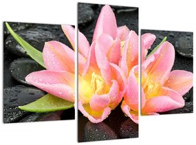 Festés - virágok (90x60cm)