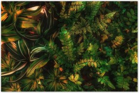 Poszterek 120x80 Trópusi levelek Levelek