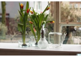 Clear üveg locsolókanna virágokhoz, 1,5 l - Esschert Design