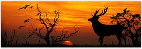 Poszterek 200x66 Szarvas és naplemente