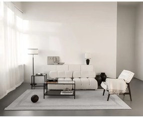 Világosszürke gyapjú szőnyeg 200x300 cm Morphic Rocca – Agnella