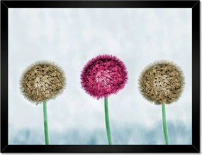 Poszterek keretben 40x30 Pitypangok