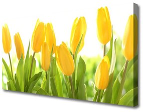 Vászonfotó Tulipán virágok Plant 125x50 cm