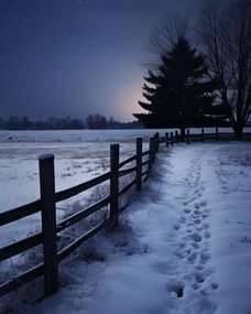 Poszter 40x50cm Csendes Téli Fény