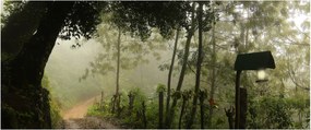 Reggeli köd képe (120x50 cm)