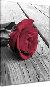 Vászonkép 80x120 Rózsa a mólón