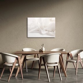 Kép - Toll (70x50 cm)